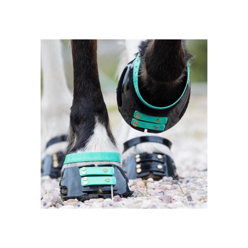 Scootboot Front Strap (6-pack)