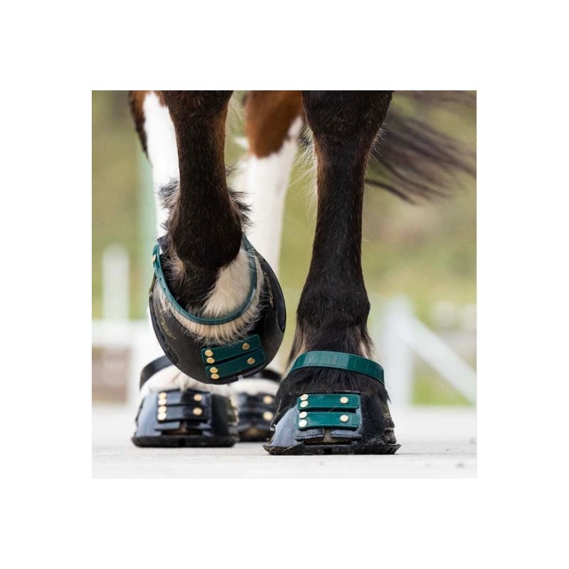 Scootboot Front Strap (6-pack)