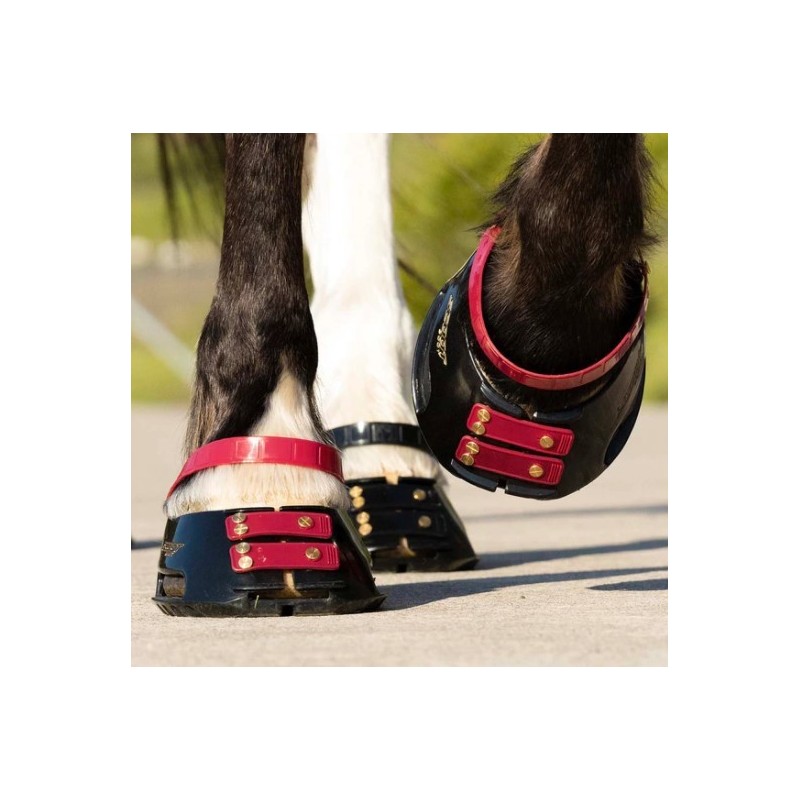 Scootboot Front Strap (6-pack)