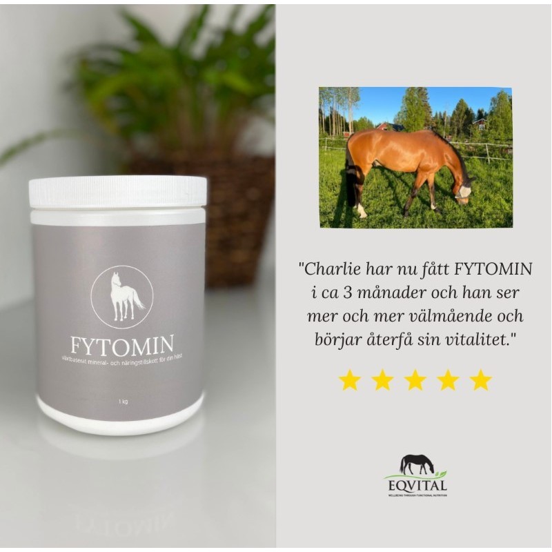 FYTOMIN - Växtbaserat mineral och näringstillskott