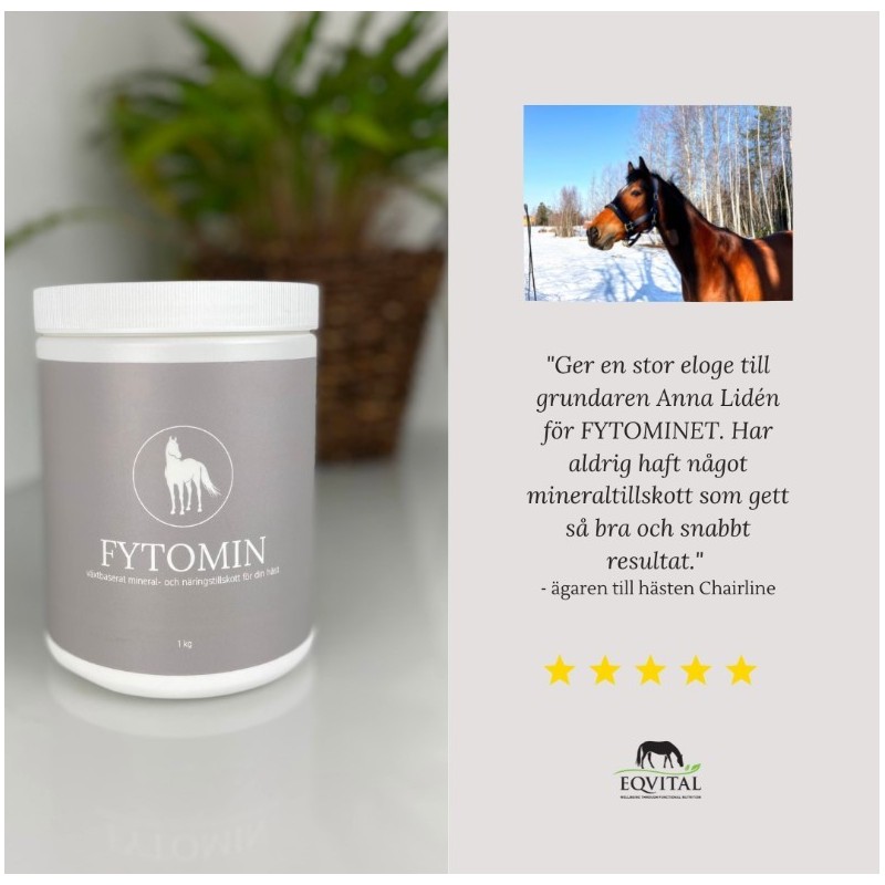 FYTOMIN - Växtbaserat mineral och näringstillskott