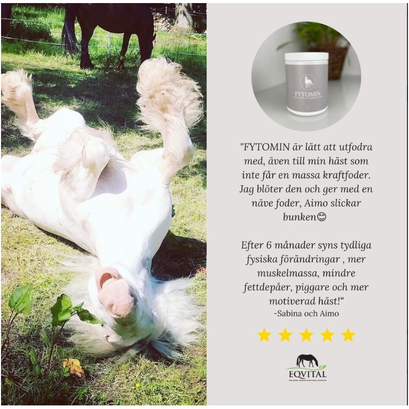 FYTOMIN - Växtbaserat mineral och näringstillskott