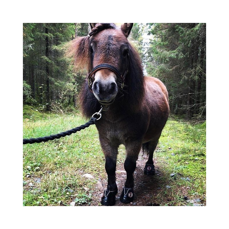 Prova Active Jogging boots hemma – hitta rätt storlek innan du köper