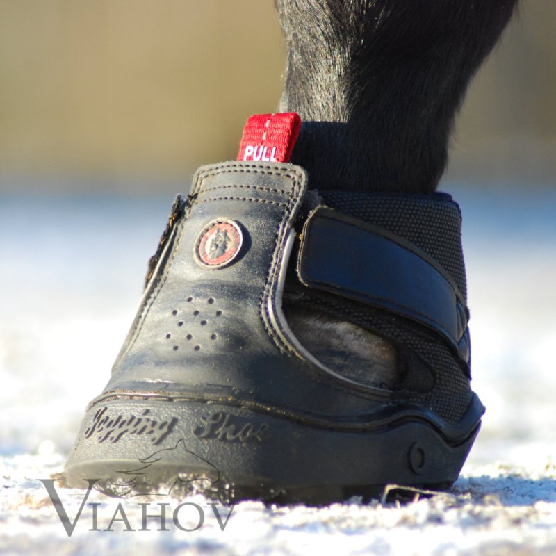 TREKKING SHOE (STYCKVIS)