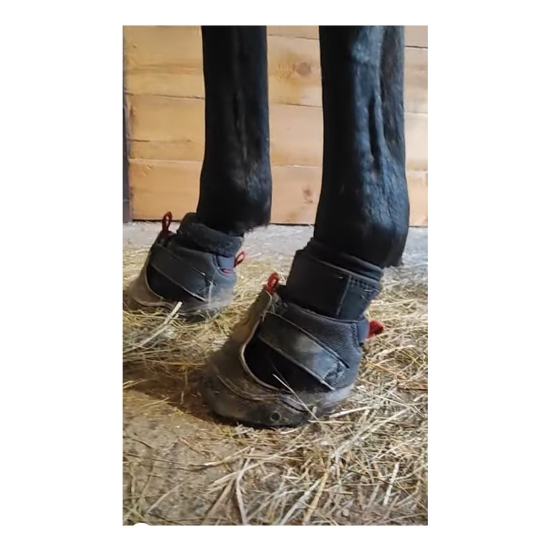 Easycare Skavskydd (2-pack)