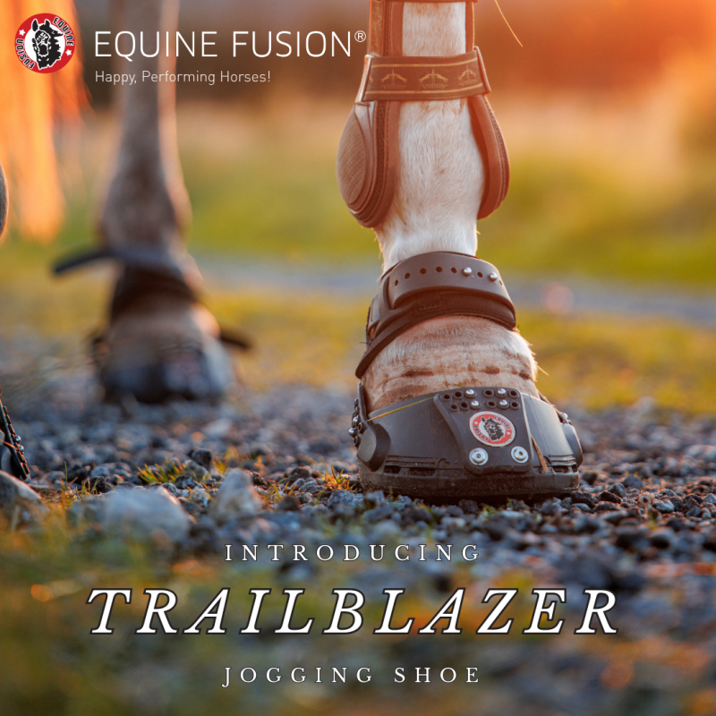 Trailblazer Jogging Shoe