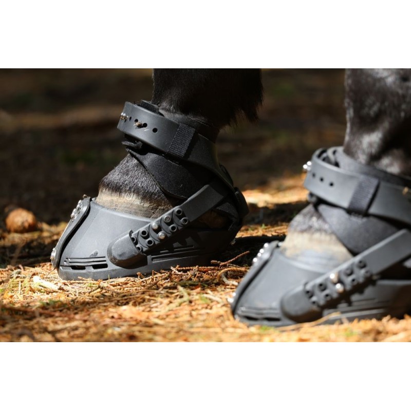 Trailblazer Jogging Shoe