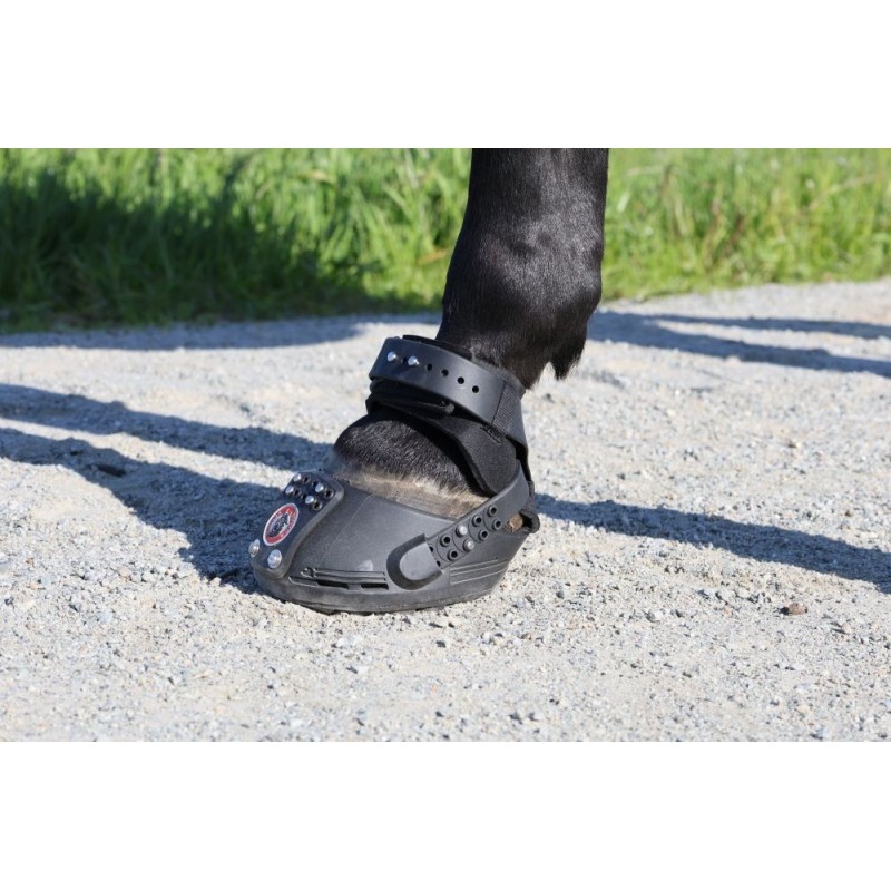 Trailblazer Jogging Shoe