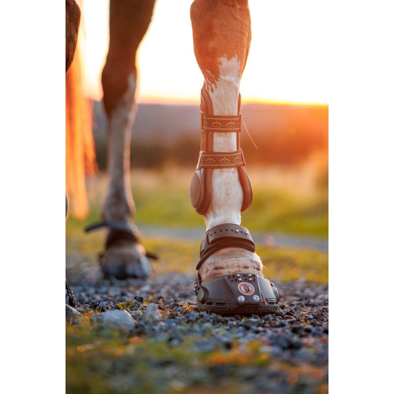Trailblazer Jogging Shoe