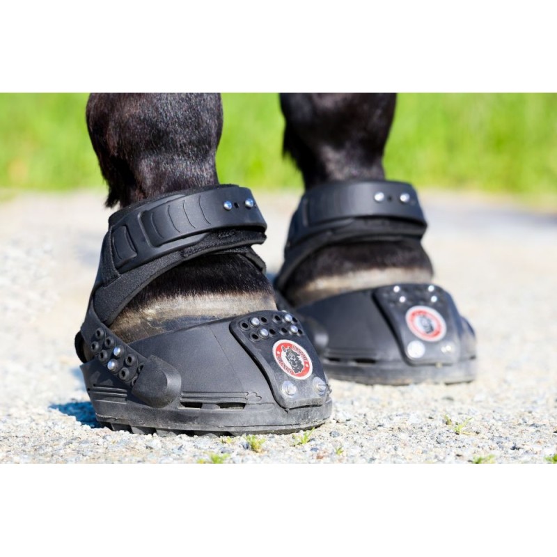 Trailblazer Jogging Shoe