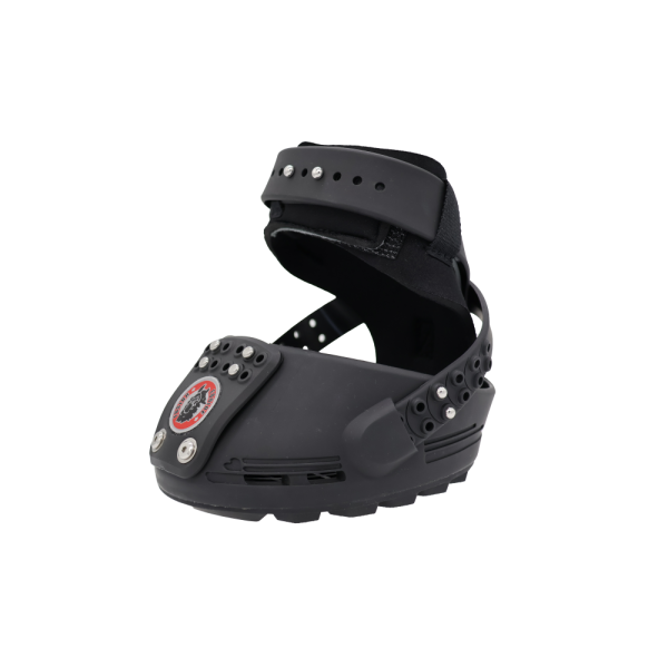 Trailblazer Jogging Shoe