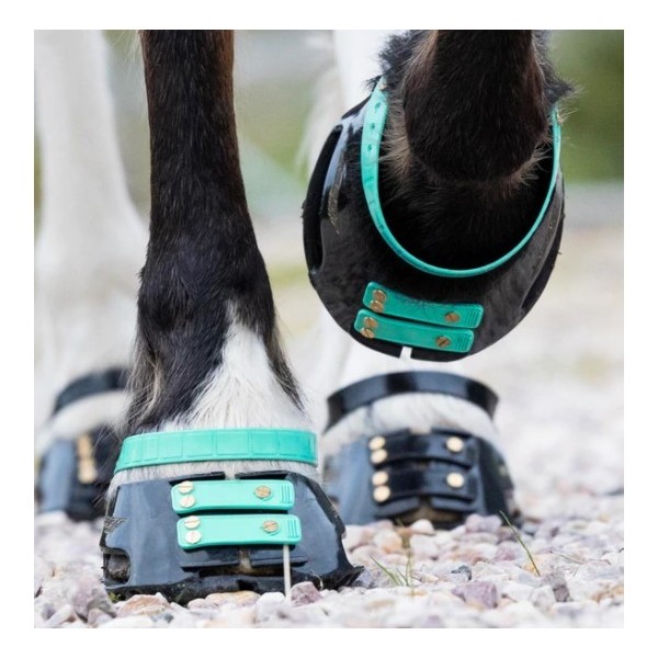 Scootboot Pastern Strap - färgade