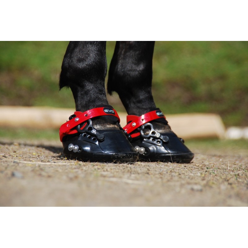 Evo Boot Premium