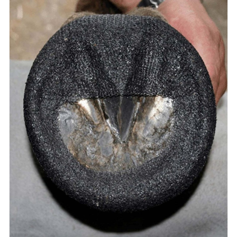 PHW - Perfect Hoof Wear Polywraps