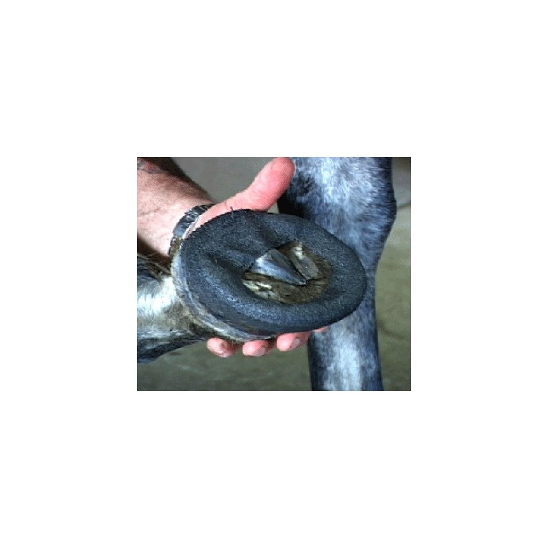 PHW - Perfect Hoof Wear Polywraps